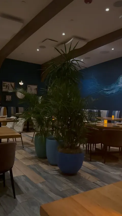 DIVE INTO THE ULTIMATE OCEANFRONT DINING EXPERIENCE! Oceanic Restaurant in Pompano Beach has stolen my heart! From the captivating interior to the breathtaking oceanfront terrace, this spot is perfect for:

Date Nights
Girls’ Nights Out
Pre/Post-Beac