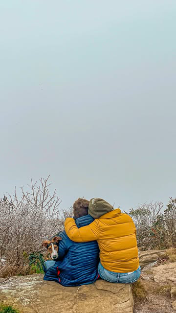 Went to see the fall leaves today. 🥴  Ended up in a Winter Wonderland. ❄️❄️❄️

_____________________
#asheville #ashevillenc #ashevillefolk #ashevillelocal #craggypinnacle #craggygardens #blueridgemountains #blueridgemoments #blueridgeparkway #visit