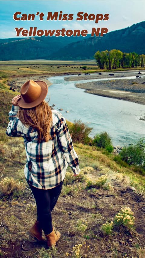 7 Can’t-Miss Stops Inside Yellowstone National Park!

Are you planning trip to America’s first national park? Here are seven breathtaking Yellowstone spots you need to see before you die! 

1. Morning Glory Pool: A stunning hot spring known for its v