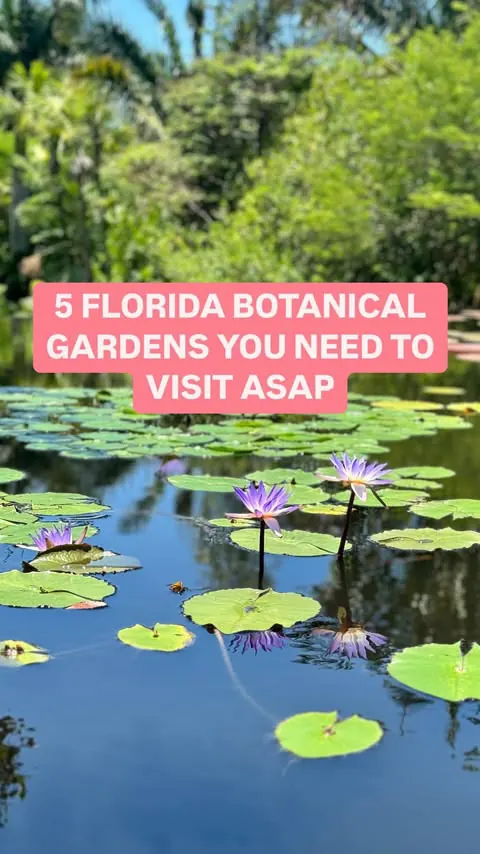 WOULD YA LOOK AT THAT 😍

Here are FIVE of the most beautiful #BotanicalGardens in #Florida 🌺

(In no particular order 😉) 

🌸 @kanapahagarden 
📍4700 SW 58th Dr, Gainesville, FL 32608
⏰ Monday through Wednesday and Friday from 9 am to 5 pm, Saturd