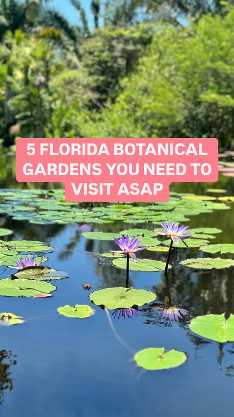 WOULD YA LOOK AT THAT 😍

Here are FIVE of the most beautiful #BotanicalGardens in #Florida 🌺

(In no particular order 😉) 

🌸 @kanapahagarden 
📍4700 SW 58th Dr, Gainesville, FL 32608
⏰ Monday through Wednesday and Friday from 9 am to 5 pm, Saturd