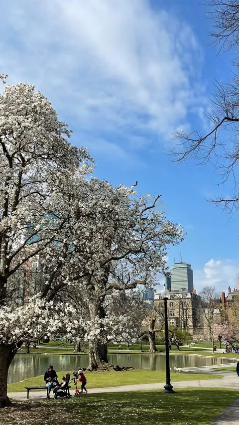 my favorite day of the year 🥹💛💙

#boston #bostonmarathon #marathonmonday #marathon #bostonma #bostoncontentcreator #contentcreator #discoverunder10k #beaconhill #backbay #wholesome #marathons #hopecore #bostonmassachusetts #bostonmass #bostonmarat
