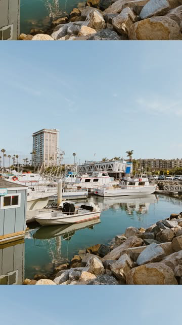 a magical dolphin experience in Oceanside, California 🌊🤍🐬
.
we booked our tour with @oceansidewhales and it was even better than we imagined! we saw HUNDREDS of dolphins! 🥹🫶🏼
.
the best time to go is Nov - April
.
#oceanside #sandiego #californ