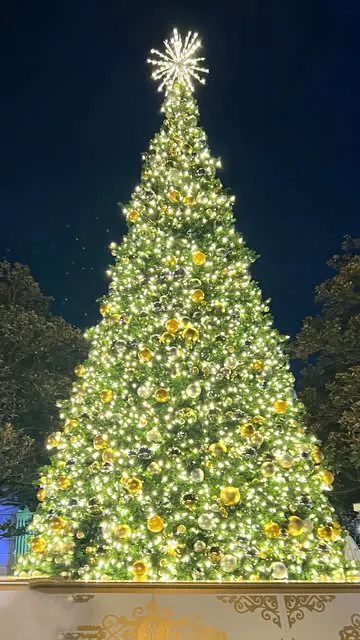 The “snow” each night at @thecharlestonplace is probably your best bet for a white Christmas in Charleston this year ❄️

This is a free event but does now require reservations in advance. Although these are currently all full online, they do take wal