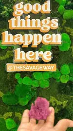 🛍️ Shop The Savage Way Online  Holiday launch ‼️

@thesavageway  is a woman owned & operated business right here in Charlotte ‼️ 

✨Focusing  on two out-of-the-box creative offerings. 

✨These offerings include an advertising medium called Clean Gra