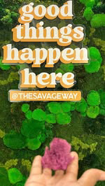 🛍️ Shop The Savage Way Online  Holiday launch ‼️

@thesavageway  is a woman owned & operated business right here in Charlotte ‼️ 

✨Focusing  on two out-of-the-box creative offerings. 

✨These offerings include an advertising medium called Clean Gra