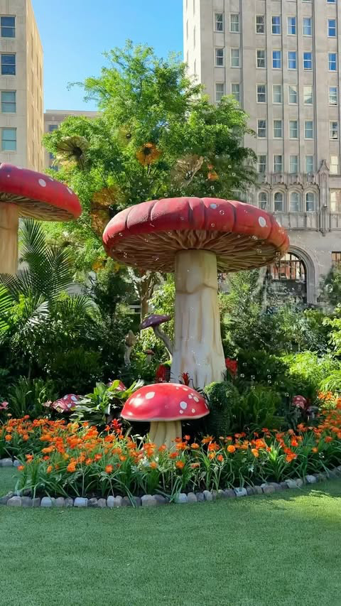 📍 The Eyeboretum 
Dallas, Texas 

The Eyeboretum is officially back in Dallas 
🫧🍄🧚🏼‍♀️ 

If you got a chance to snag tickets before they sold out get ready to immerse yourself in a magical garden with plenty of cute photo-ops, gnome’s tavern for