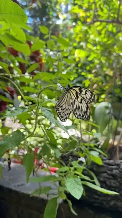 📍 Texas Discovery Garden
Dallas, Texas 

[Get a POGO Pass for $49.99 (over $1300 value) to enjoy this & many more attractions using code EXPLOREVINA50 *link in bio* 🎟️]

With the weather warming up I’ve been finding fun activities to do & I’ve alwa