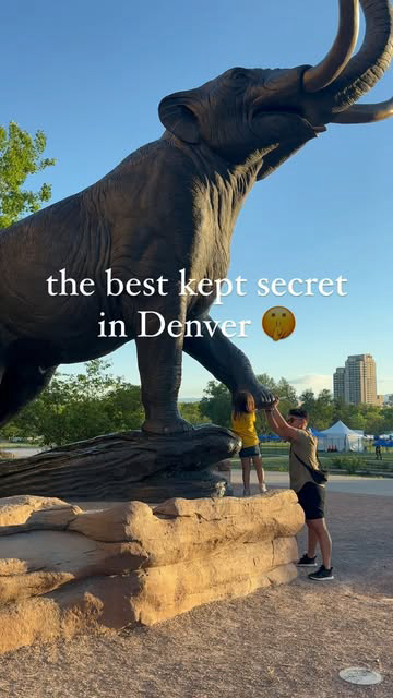 did you know that the @denvermuseumns is open on most Friday evenings until 9pm?!! 🦕🌃✨

AND they serve beer, wine, and cocktails from 5pm-7:30pm!!! 🍻🍷

Admission prices remain the same. You can also use library passes for this time the same way y