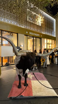 What is more Texas than pairing longhorns with expensive jewels 💎🤠@deboulle 

#Texas #longhorn #patekphilippe #rolex #watchesofinstagram #diamonds #cowboys #cowgirl #rodeo #westernstyle #shopltk