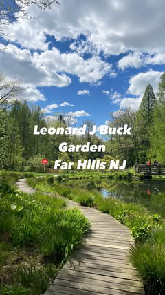 🪷 Send this post to your friends that loves secret spots 

Peaceful and gorgeous, this is one the best secret gardens in New Jersey. Located in Far Hills, it consists of a series of alpine and woodland gardens situated in a 33-acre wooded stream val