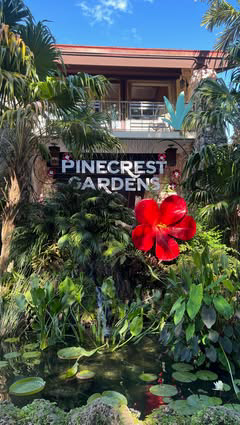 The most underrated gardens in Miami and it’s only $5 to get in ✨

Stroll through tropical plants, waterfalls, and even see exotic animals like flamingos and parrots. They also host art exhibits, family-friendly events, and outdoor concerts throughou