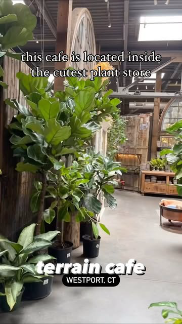 terrain cafe • westport, ct #stamfordfoodie