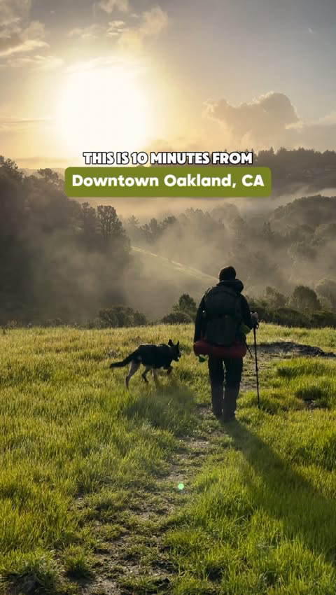 Nestled in the hills of the East Bay are some pretty amazing hiking trails! This spot will make you feel like you’re in Lord of the Rings.

🗺️Reinhardt Redwood Regional Park
📍Dunn Trail
🥾2.7mi loop
🚶‍♀️531ft elevation 

#oakland #bayarea #eastbay