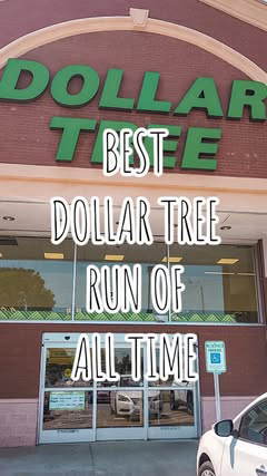 💚BEST OF DOLLAR TREE💚 @dollartree 
I know it's late, but this was the best store run of ALL TIME! They had the cutest stuff tonight, and I can't believe I found the @realtechniques BEAUTY SPONGES! I am so excited to try these out. So many great cra