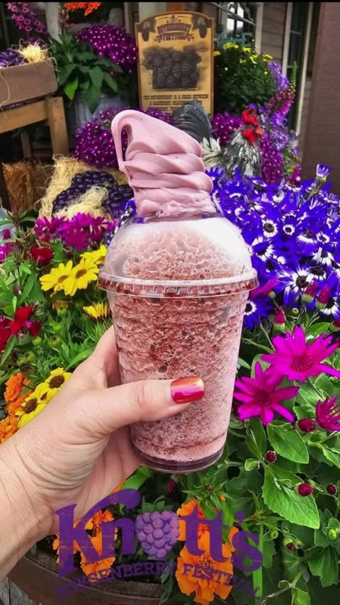 🍇It's Spring Break! The perfect time to check out the Boysenberry Festival at @knottsberryfarm through April 7th, then Friday-Sunday April 12th-28th.

Here's everything we tried in a day at the Boysenberry Festival!

🍇Boysenberry ICEE Float with Bo