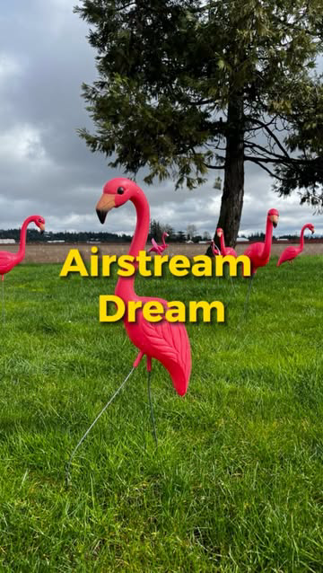 Come explore @the_vintages with me in part 1 of my series on unique and affordable Oregon vacations! If you’ve ever dreamed of staying in a fully renovated airstream trailer, then this one is for you! The Vintages are glamping at its finest and some 