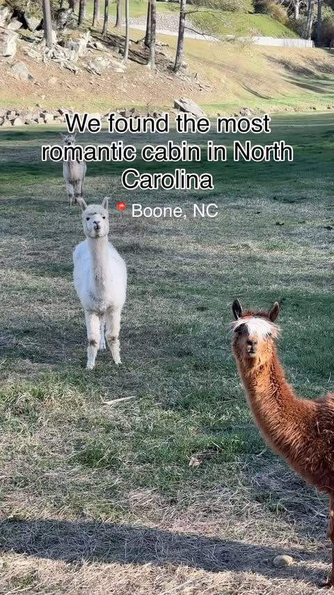 This past weekend we needed some time just for us to disconnect all the devices, recharge and reconnect 👩🏻‍❤️‍💋‍👨🏾@mountainmagicresort had everything we were hoping for + more 🥹
This beautiful property is only 3.5h from Raleigh, NC (2.5h from C