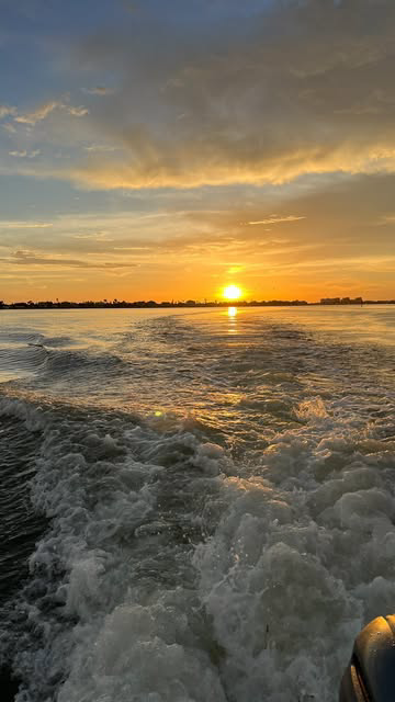 The most magical dolphin moment + ticking boat day off my summer bucketlist with @boattotheislands 🫶🏻☀️🐬🧡

 #dolphins #summer #summerbucketlist #girlsday #boattrip #sunset