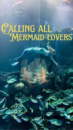 We had the best time seeing the Mermaids at @wondersofwildlife 🧜🏼‍♀️
The kids were in awe of the mermaids! There was so much to see and do! 10/10 recommend🙌🏼
.
.
#wondersofwildlife #stl #branson #springfieldmo #stlouis #ozarkmountains #mermaid