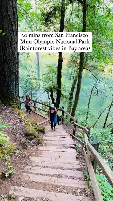 📍Cataract Fall, Mount Tamalpais State Park, Marin County

Cataract Falls: The Cataract Falls trail is one of the most popular waterfall hikes in Marin County and San Francisco Bay Area.

The Cataract Falls trail offers stunning waterfalls, scenic vi