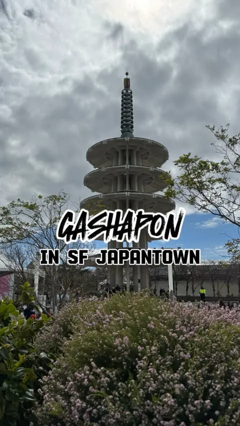 pov: finding gashapon in SF 

🚨 @gashaponus has moved and opened up in SF’s Japantown! 

I went last weekend to check out the new location since the Mitsuwa location closed & it was PACKED. Definitely did not make it any better that it was the cherr