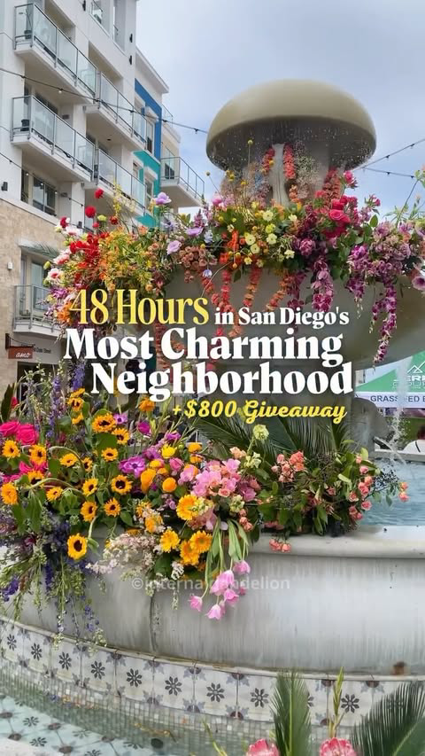 ✨ The Ultimate Giveaway in San Diego’s Most Charming Neighborhood: Little Italy! 🇮🇹

I’ve partnered with @thehotelzindel, a newly renovated boutique hotel, to give ONE lucky supporter the ultimate two-day experience in Little Italy! 💫 

The hotel 